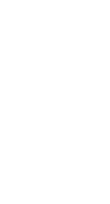 Ellipse 73